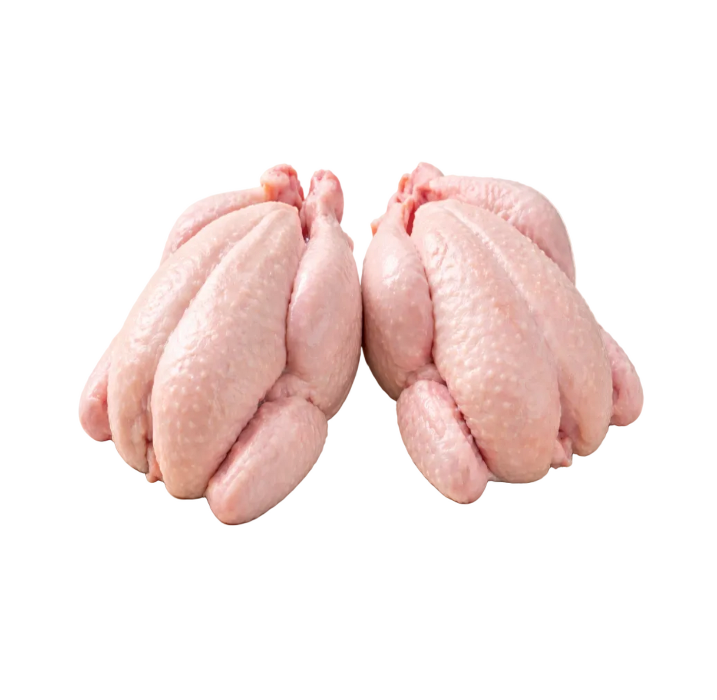 Baby Chicken whole